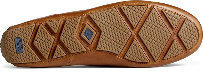 13935588_282_alt3_0a093748-39af-481c-9edd-3ba6d0ee0b05