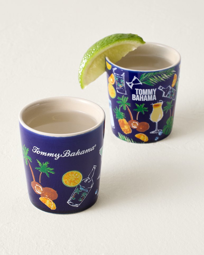 CERAMIC SHOT GLASS SET/2