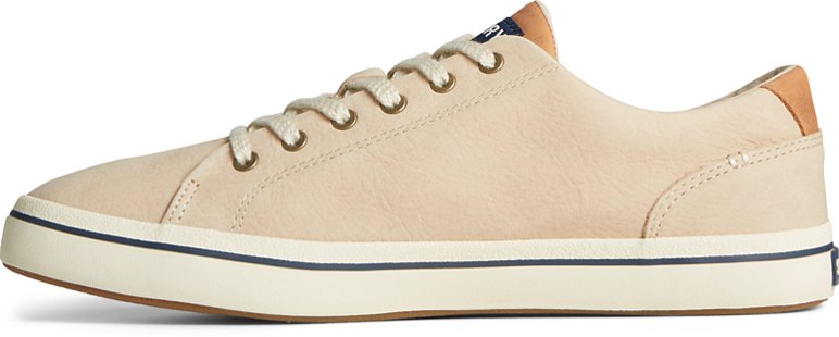 STS25886_870_alt2_a6e8539d-bbe2-444b-8442-ab6c0e6cc4d8