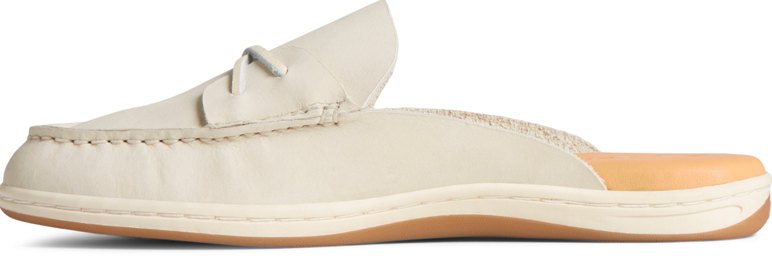 STS88721_157_alt2_43bea68d-b646-4288-8de3-d959341b53a3